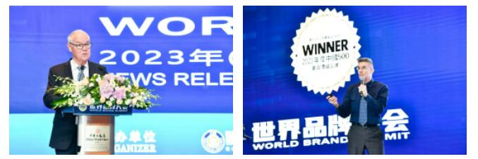 权威认证 德赢VWIN入选中国500最具价值品牌