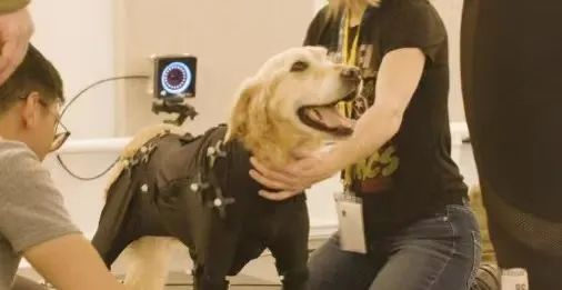 德赢·(VWIN)官方网站-AC米兰官方相助同伴